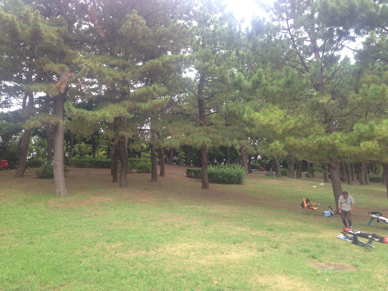 海の公園バーベキュー場 バーベキューレンタルのbbq Park