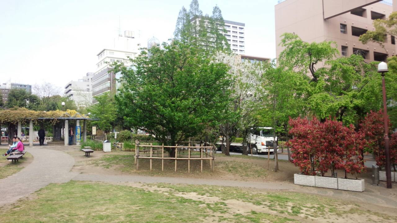 公園景色3