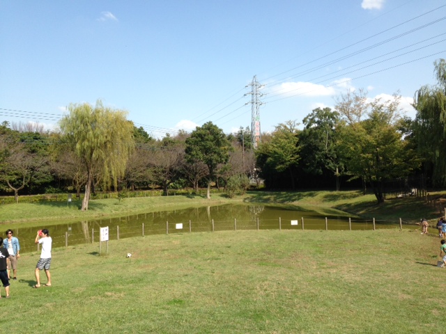 大泉さくら運動公園バーベキューエリア バーベキューレンタルのbbq Park