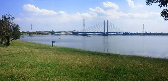 公園脇のなられる荒川