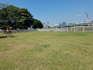 新木場公園　バーベキュー広場