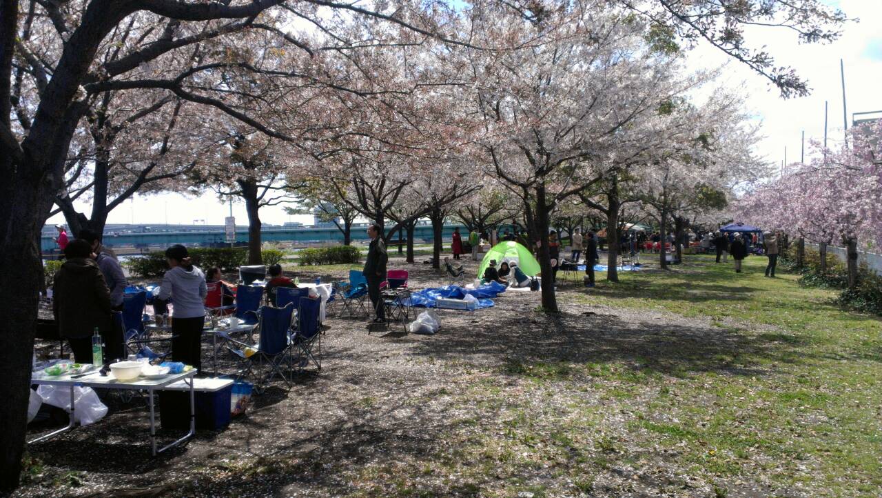 さくらの名所 千本桜bbq場 バーベキューレンタルのbbq Park