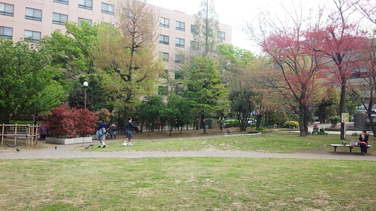 公園景色