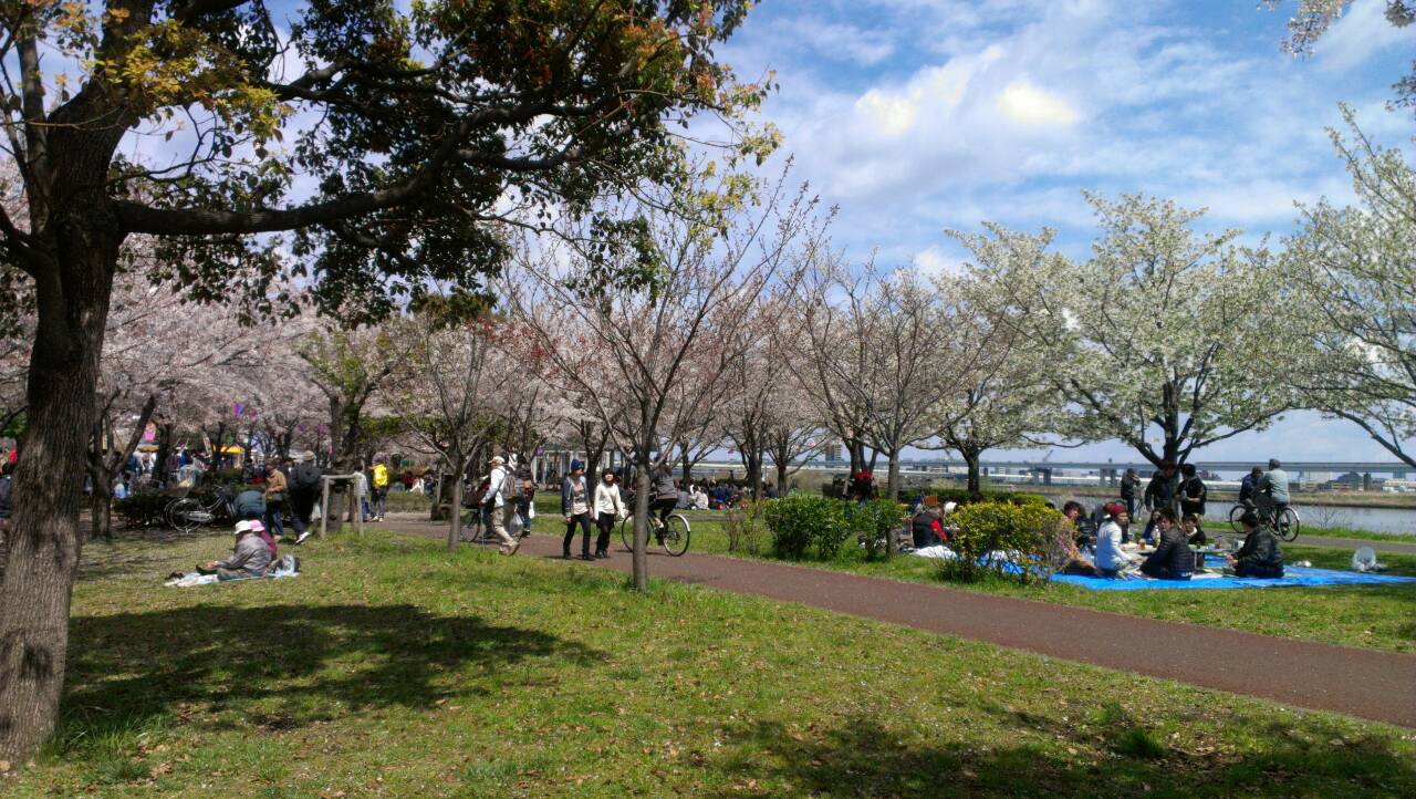 さくらの名所 千本桜bbq場 バーベキューレンタルのbbq Park