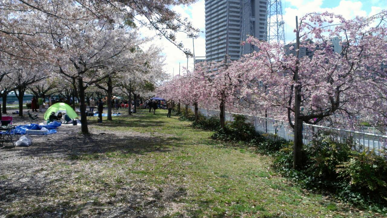 さくらの名所 千本桜bbq場 バーベキューレンタルのbbq Park